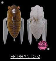 Megabass Siglett 36.5mm Cicada