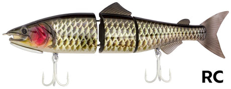Zerek Affinity 220mm 96g Swimbait