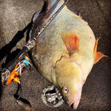 Live Fibre Blade N Tails Rod