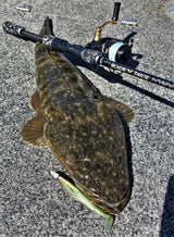 Live Fibre Blade N Tails Rod