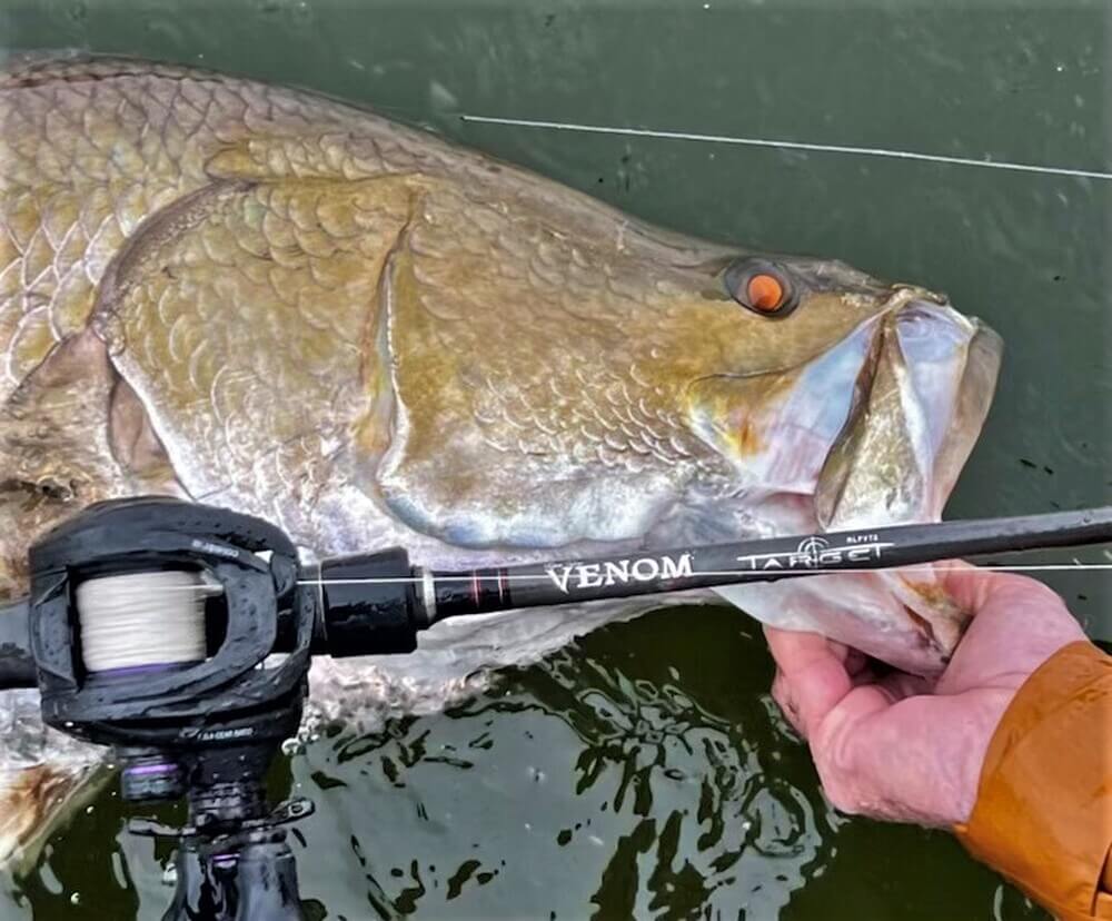 Venom V-Line Braid X8 300m