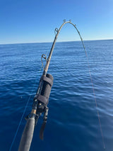 Wilson Live Fibre Electric Assist Overhead Fishing Rod