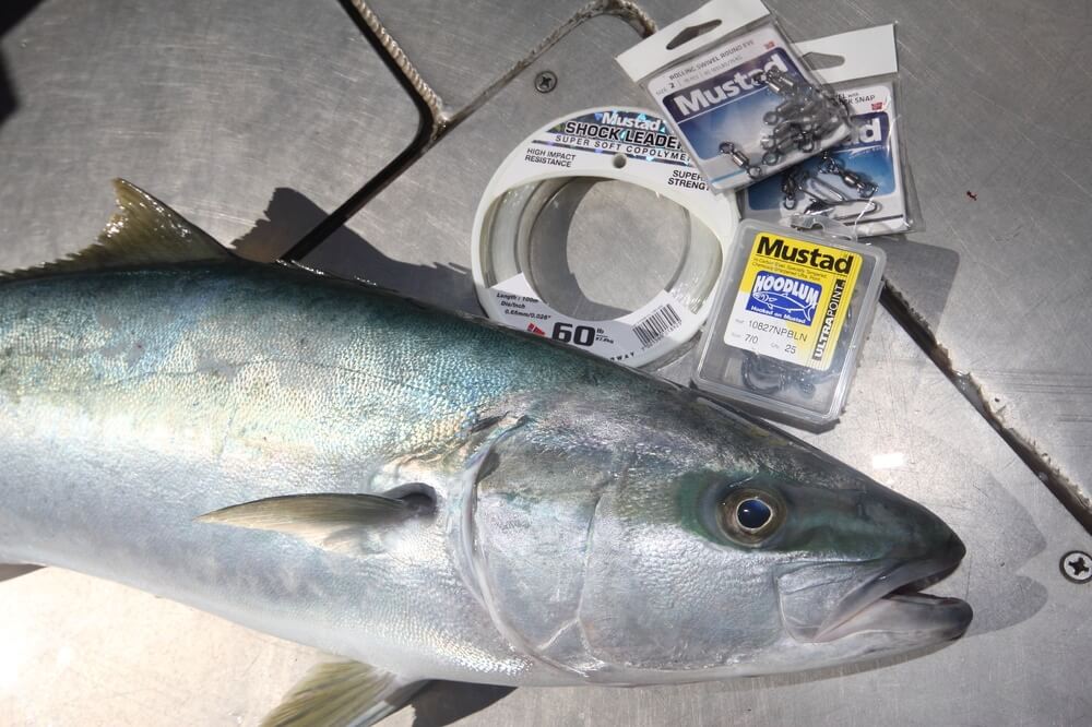 Mustad Hoodlum Hooks