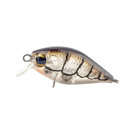 Prolure S36 Shallow 36mm Crank Lure