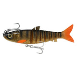 Wilson Live Mullet 5.5in Rigged Plastic