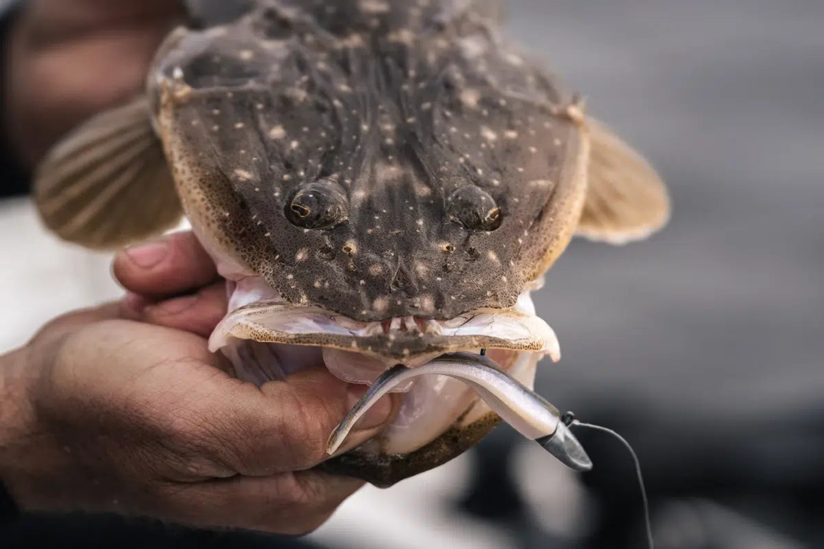 Berkley Nitro Zipper Jighead