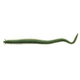 Berkley Gulp 6in Sandworm Plastics