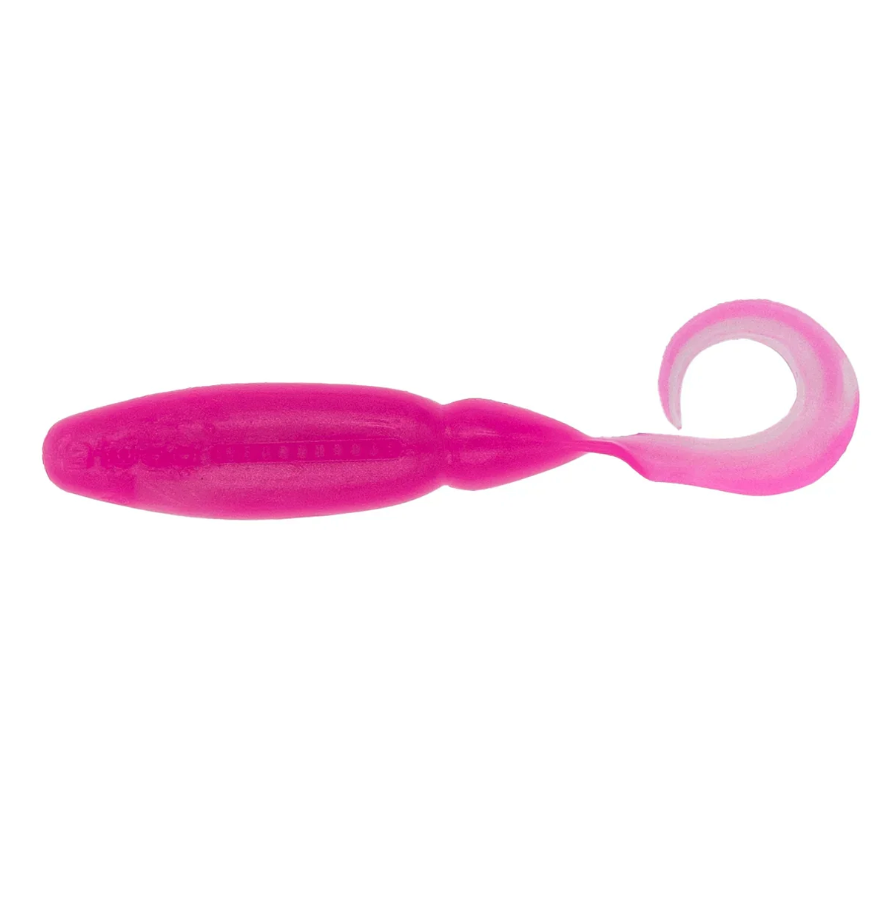 Biwaa Curly Grub 2.5in Plastics