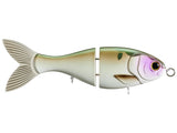 Bucca Trick Shad 4in Lure