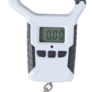 Digital Fish Scales