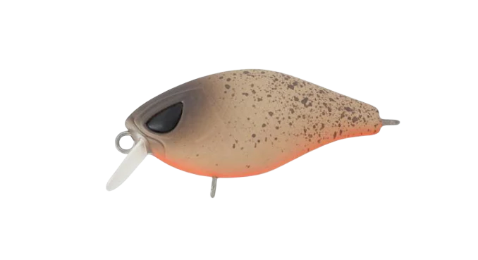 Hurricane Fat 37mm Shallow