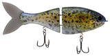 Bucca Trick Shad 4in Lure