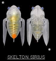 Megabass Siglett 36.5mm Cicada