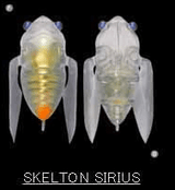 Megabass Siglett 36.5mm Cicada