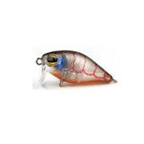Prolure XS36 Extra Shallow 36mm Crank Lure