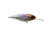Jackall Super Squirrel 79 Flat SP Lure