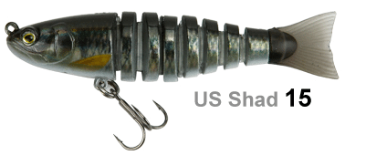 Biwaa STrout 3.5in Swimbait Lure