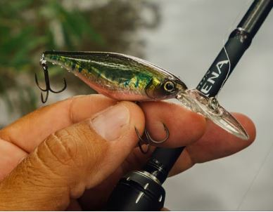 Shimano Bantam Enber Flash Boost 60mm Hardbody