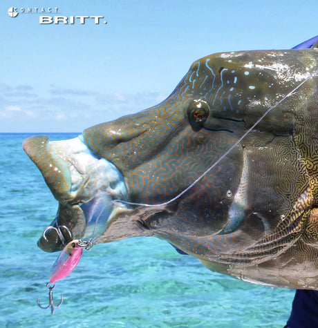 Tackle House Contact Britt Pencil 120mm