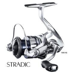 P STRADIC FL 2