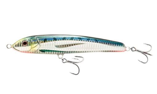 RIP125 SS SARSARDINE