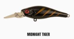 Midnight Tiger