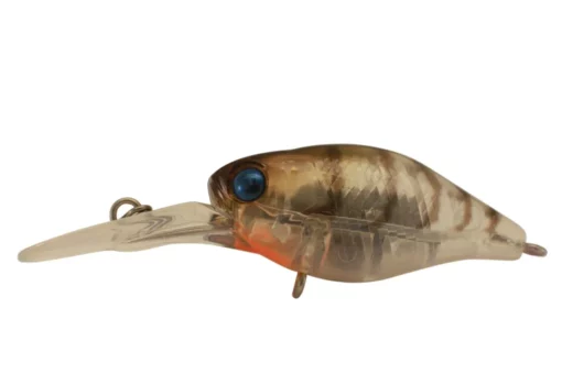 Ghost Shrimp