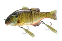 RT NOIKE GILL