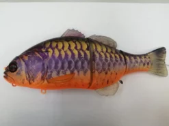 purple koi