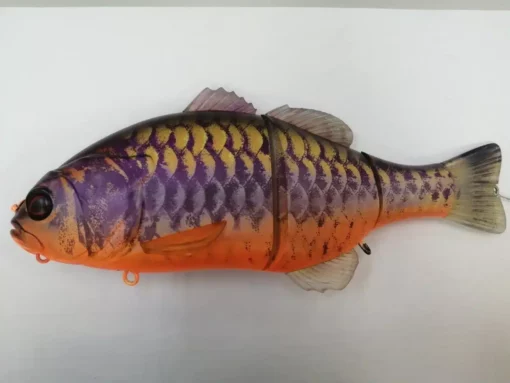 purple koi