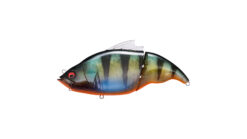 vatalion190 07 gp redfin perch