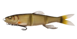 color chart 007 magdraft hasuraver allround shiner