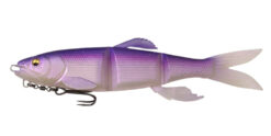 color chart 008 magdraft hasuraver lake biwa pro blue