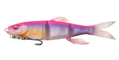 color chart 010 magdraft hasuraver pink back frozen hasu