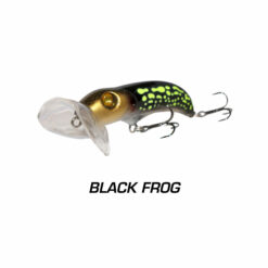 Hunchback 60 Black Frog 2
