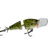 ARR Baby Cod