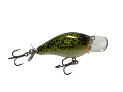 Jollip Creek Rodent Baby Cod
