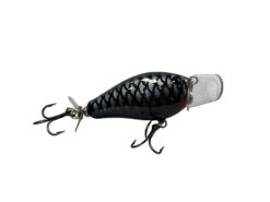 Jollip Creek Rodent Black Shadow
