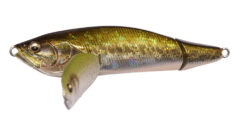 I wing triple fry gg largemouth bass