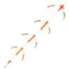 Hookem Surface Teaser Excited Bird Flip Flop Orange Glow 48fc0dcc dbbb 4fda aebe 0cb41ab0f98e 1100x