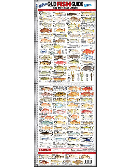 fish id ruler qld WEB 1