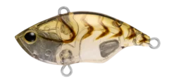 CLEARBROWNSUJI