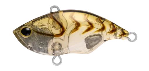 CLEARBROWNSUJI