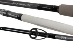 Daiwa TD Offshore.001