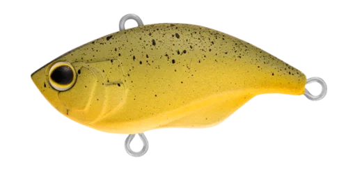 MATTEOLIVE