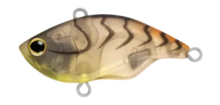 MATTEPRAWN