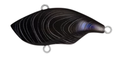 OYSTER